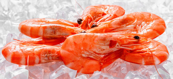 Frozen Seafood Shrimp